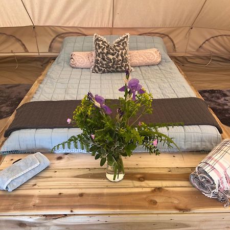 Bluebell Tent At Ballyward Croft Ardkeen المظهر الخارجي الصورة