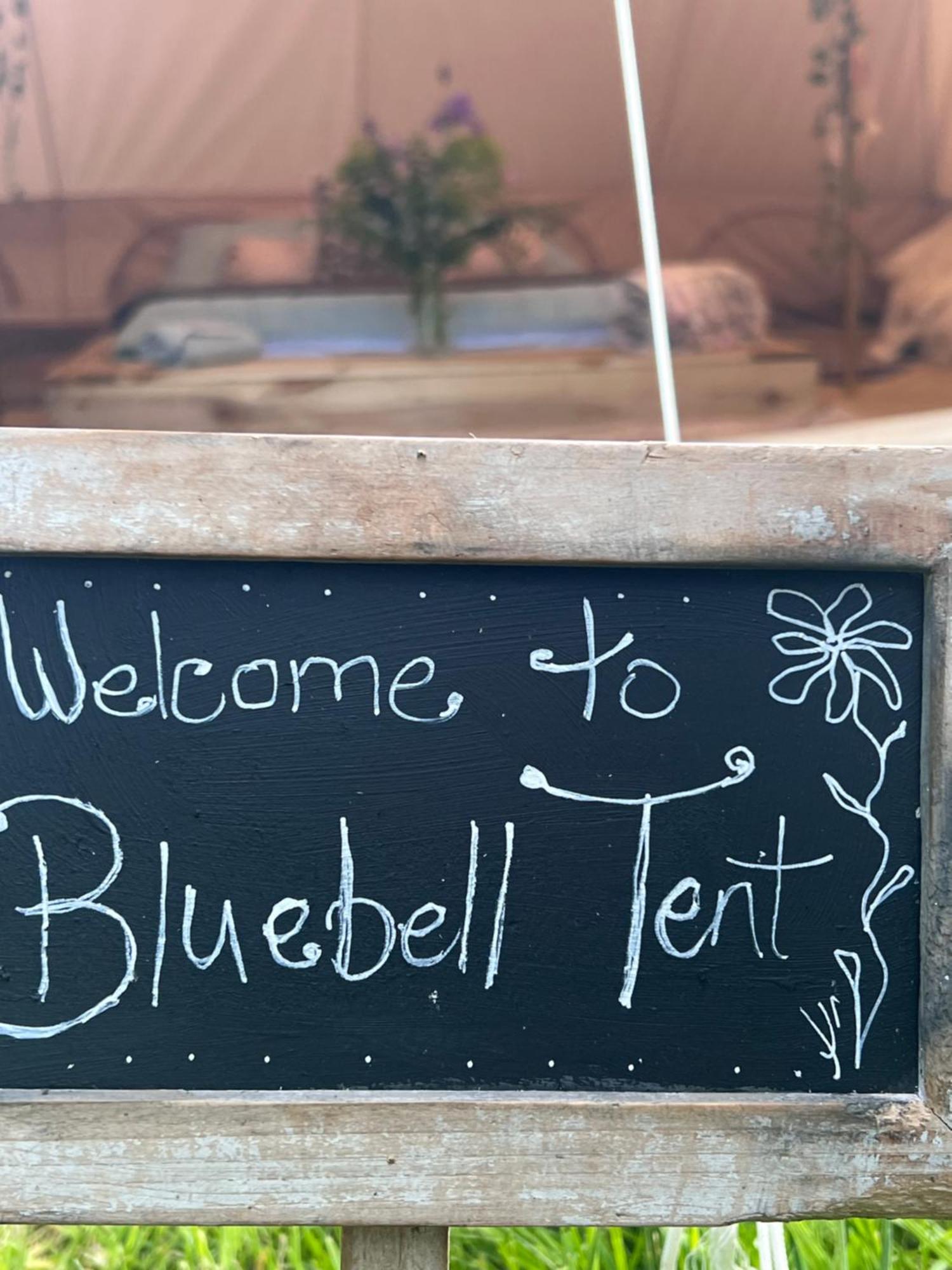Bluebell Tent At Ballyward Croft Ardkeen المظهر الخارجي الصورة