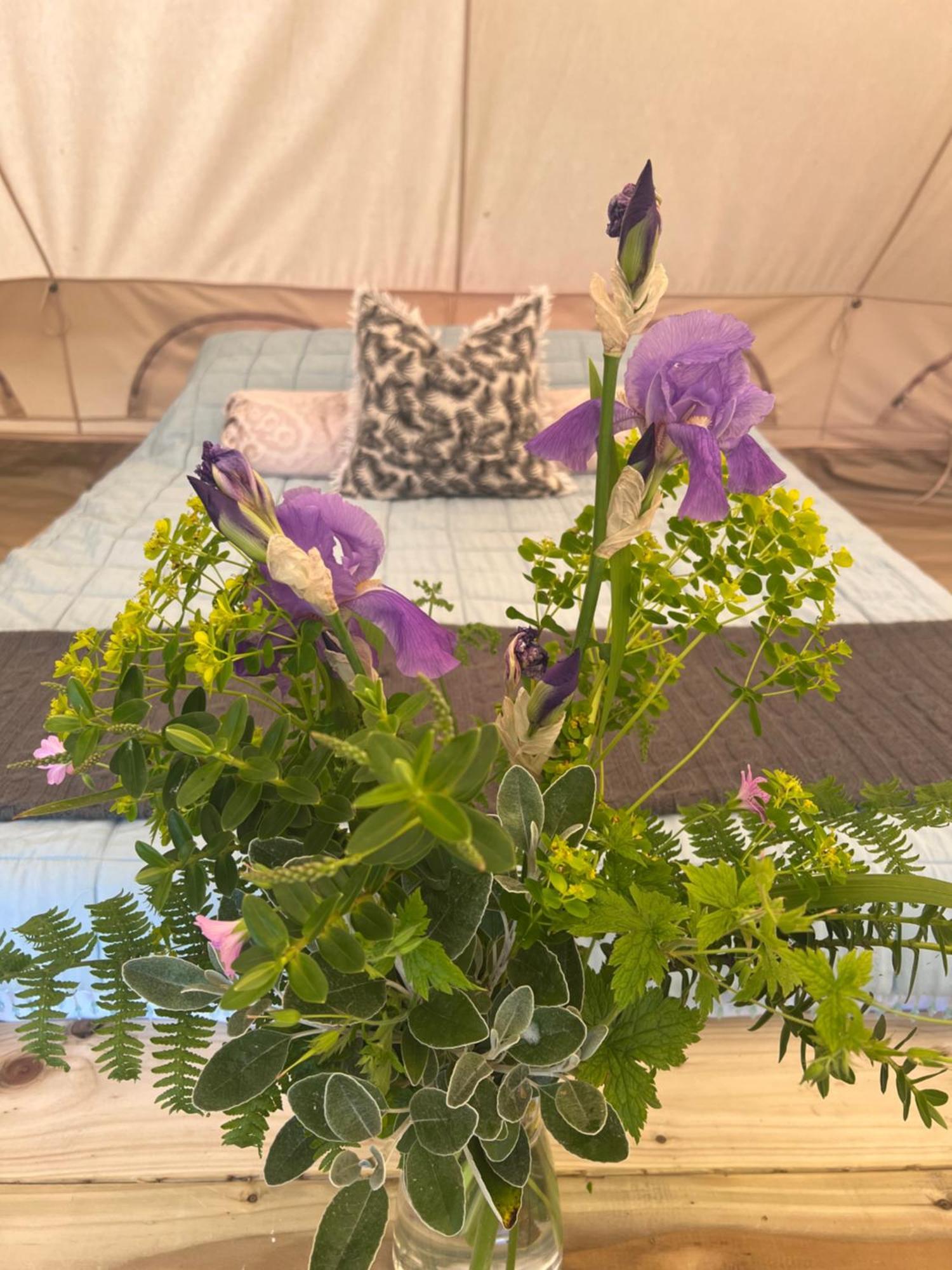 Bluebell Tent At Ballyward Croft Ardkeen المظهر الخارجي الصورة